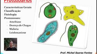 Protozoários e Protozooses 1 [upl. by Llehcim]