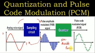 Pulse Code Modulation PCM and Quantization  ADC 48 [upl. by Assilym]