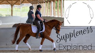 Lateral and longitudinal suppleness in horses  Best exercises for suppleness [upl. by Anma]