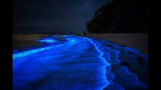 Jervis Bay After Dark [upl. by Banks]