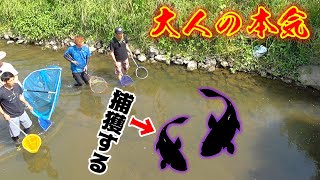 メンバー総出でタモ網一つを持って本気で巨大魚捕獲に挑む！！ [upl. by Tayler]