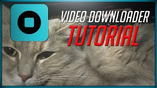 Video Downloader Premium Tutorial Google Chrome Store Extension [upl. by Blinni596]