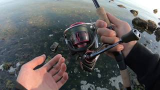 2021 Daiwa Legalis LT 2500D vs 3000DC Comparison  Not A Fan of Deep Spool [upl. by Mendelsohn268]