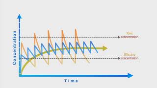 Pharmacokinetics animation Dosing Interval [upl. by Sension]