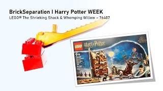 HARRY POTTER Week l The Shrieking Shack amp Whomping Willow™ LEGO 76407 l BrickSeparation [upl. by Cirek392]