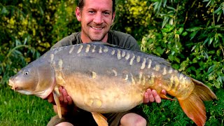 Coking farm Meadow lake HUGE CARP CAUGHT [upl. by Estella]