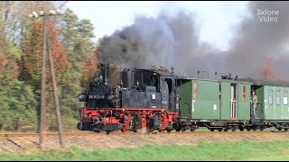 Döllnitzbahn zu Halloween 22 Dampflok  Steam Train [upl. by Ytoc814]