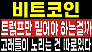 비트코인 전망트럼프만 믿어야하는 걸까요 사실 고래들이 노리는 건 따로 있습니다 [upl. by Mariel]