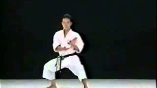 Kata Seienchin shito ryu karate [upl. by Ephrem]