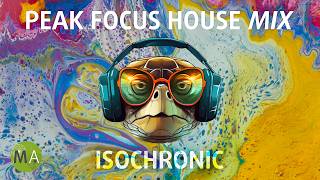 Peak Focus For Complex Tasks House Turtle Mix with Isochronic Tones [upl. by Yelhs]