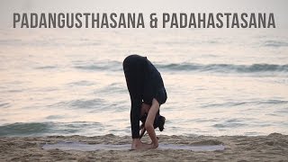 How to Padangusthasana amp Padahastasana  Big Toe amp Hand Foot Pose [upl. by Doowron]