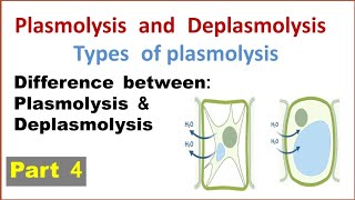 Plasmolysis and deplasmolysis  Types of plasmolysis  Difference between plasmolysis deplasmolysis [upl. by Llekcor]