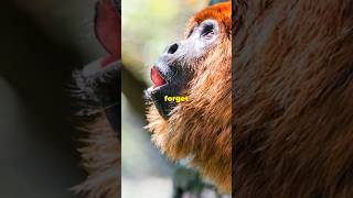 Howler Monkeys Natures Loudest Singers wildlife nature animals facts [upl. by Jocko91]