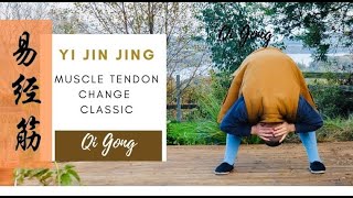 Shaolin Qi Gong  Yi Jin Jing  Muscle Tendon Change Classic  易筋经 Full 12 Exercises [upl. by Petunia]