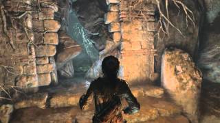 Rise Of The Tomb Raider  Flooded Archives Coin Caches [upl. by Petracca]