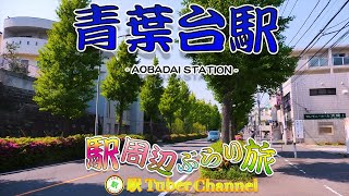 【東急田園都市線】青葉台駅の周辺をぶらり旅 Travel around AOBADAI Station [upl. by Nelyk]