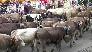 Almabtrieb Viehscheid Obermaiselstein im Allgäu 2010 [upl. by Iinden]