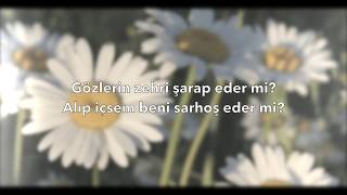 Hirai Zerdüş – Papatya LYRICS [upl. by Eilyw582]