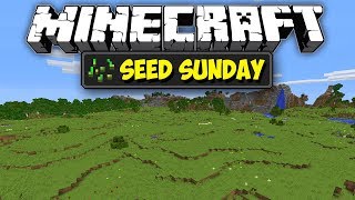 Minecraft 1122  Super Flat Plains Spawn  Seed Sunday  Ep241 [upl. by Euqinahc271]