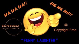 Funny Laughter  Hysterical Laughing Sound Effects No Copyright [upl. by Erlina]