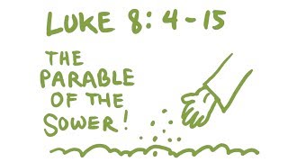 The Parable of the Sower Bible Animation Luke 8415 [upl. by Verna]