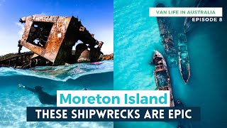 Snorkelling the TANGALOOMA WRECKS Moreton Island Queensland  VAN LIFE AUSTRALIA ROAD TRIP [upl. by Valentijn168]