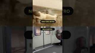 Indian Metro VS American Metro [upl. by Nipahc408]