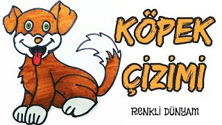 Köpek Nasıl Çizilir  Köpek Çizimi How to draw a dog Renkli Dünyam [upl. by Orfurd776]