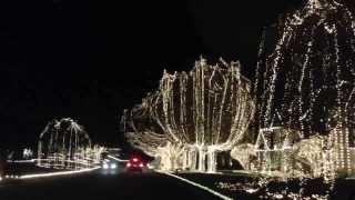 David Kulesz Christmas Lights Display [upl. by Hess]