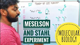 Meselson and Stahl Experiment  Molecular Biology  V Senthilnathan [upl. by Sup]