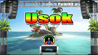 Asin  Usok Rap Reggae Remix Dj Jhanzkie 2021 [upl. by Wit]