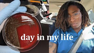 VLOG  life as a medical laboratory science major studying microbiology lab [upl. by Arrac]