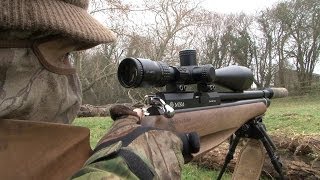 The Airgun Show  rabbit hunting and the iconic Weihrauch HW77 [upl. by Enerak840]