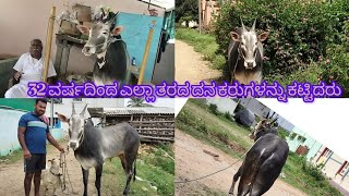 ನಾಗಮಂಗಲದ ನ್ಯೂ stud bulls ಈ ಮನುಷ್ಯ 500 ಇಂದಲೂ ದನ ಕರುಗಳನ್ನು ಕಟ್ಟಿದ್ದಾರೆ [upl. by Orgel]