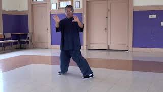 Traditional Yang Style 108 form Tai Chi Chuan 太极拳 [upl. by Nomelif]