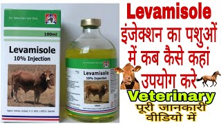 Levamisole Vet injection use in Hindi लेवमिसोल इंजेक्शन का पशुओं में उपयोग पूरी जानकारी वीडियो में [upl. by Ailugram]