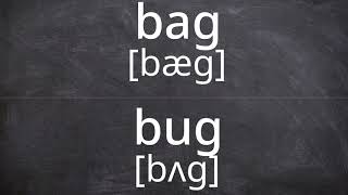 BAG vs BUG Pronunciation in American English [upl. by Boice715]