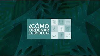 Cómo ordenar tu bodega [upl. by Eirallam]