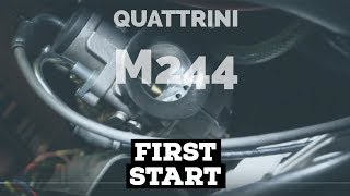 vespa QUATTRINI M244 very FIRST start  FMPguides  Solid PASSion [upl. by Sharron]