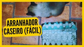 Arranhador De Gato Caseiro Como Fazer Arranhador Para Gatos Com Caixa De Ovo FÁCIL [upl. by Narmi]