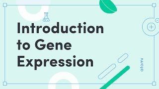 Threepoint mapping and gene order [upl. by Linder]