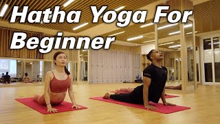 40Minutes Yoga At Home For Beginner Based On Hatha Yoga Flow  Yograja  Yoga Hanoi Vietnam [upl. by Figueroa]