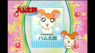 Hamtaro Anime Eyecatch [upl. by Ohploda]