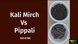 Kali Mirch Vs Pippali  Black Pepper Vs Long Pepper  Pipli  Everyday Life  337 [upl. by Anitsrik]