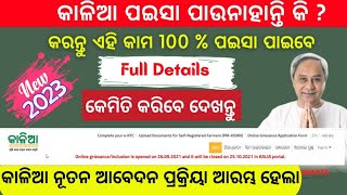 Kalia Yojana New Apply Online 2023 Full Process  Kalia Yojana Online Grievance Apply Online [upl. by Juster]