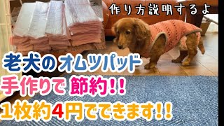 【老犬】節約オムツパッドの作り方【ダックスフンド】 [upl. by Cida]