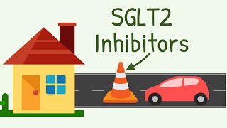 SGLT2 Inhibitors Mechanism of Action [upl. by Attirb962]