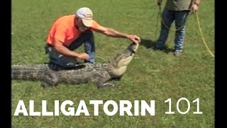 Alligatorin 101 How to Catch Alligators [upl. by Aicram]