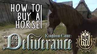 Kingdom Come Deliverance  HowWhere To Buy Your First Horse [upl. by Pattani]