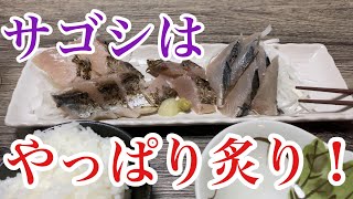 【サゴシの炙り刺し】釣り上げ30分！鮮度抜群を添えて [upl. by Marillin]